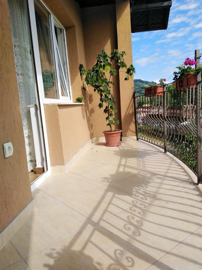 Appartement Casa Diana-Maria à Curtea de Argeş Extérieur photo