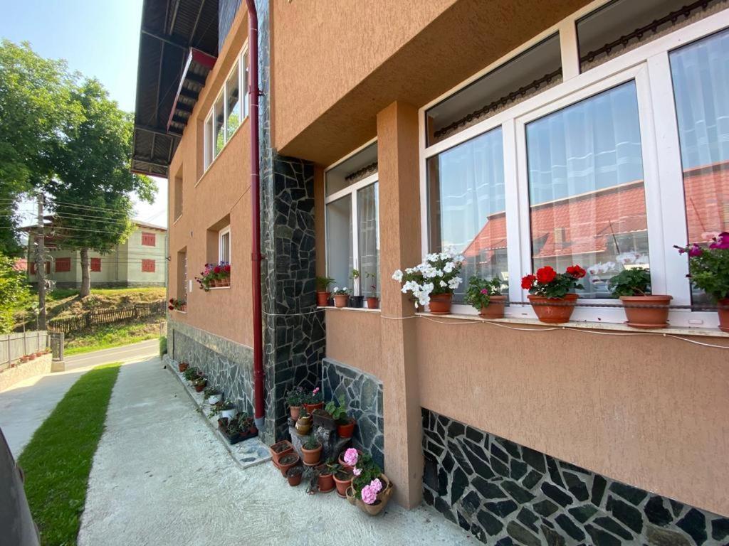 Appartement Casa Diana-Maria à Curtea de Argeş Extérieur photo