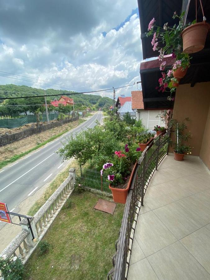 Appartement Casa Diana-Maria à Curtea de Argeş Extérieur photo