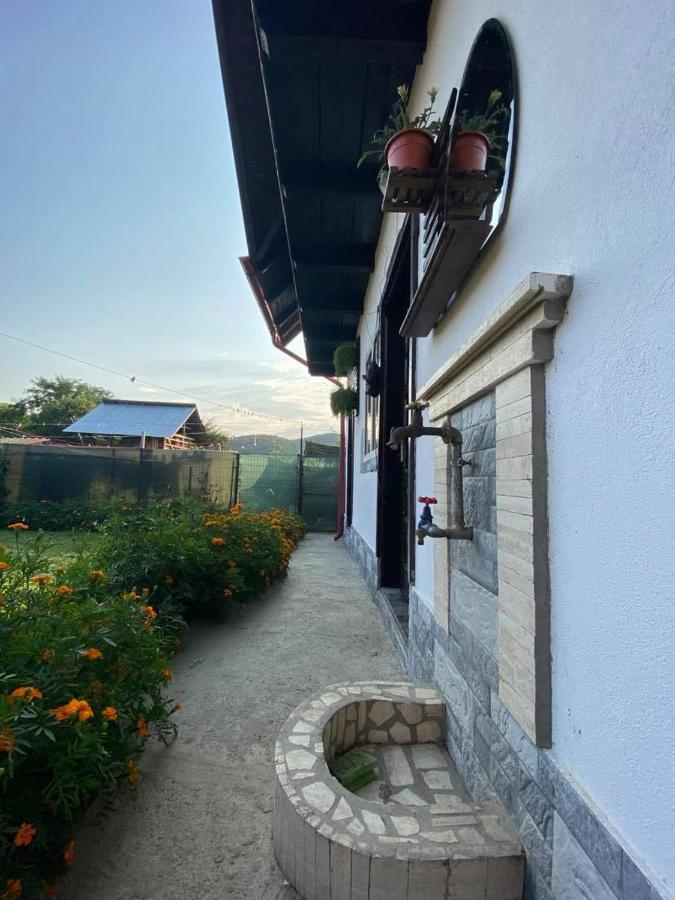 Appartement Casa Diana-Maria à Curtea de Argeş Extérieur photo