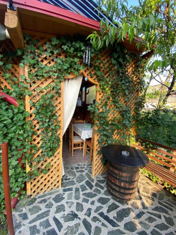 Appartement Casa Diana-Maria à Curtea de Argeş Extérieur photo