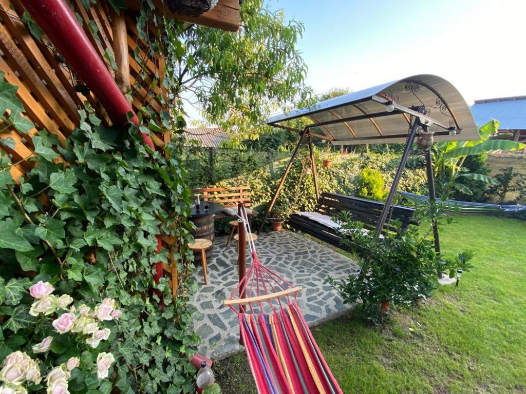 Appartement Casa Diana-Maria à Curtea de Argeş Extérieur photo
