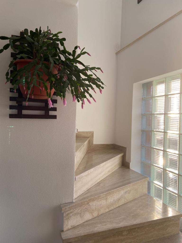 Appartement Casa Diana-Maria à Curtea de Argeş Extérieur photo
