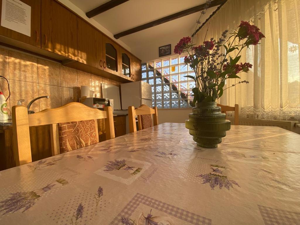 Appartement Casa Diana-Maria à Curtea de Argeş Extérieur photo