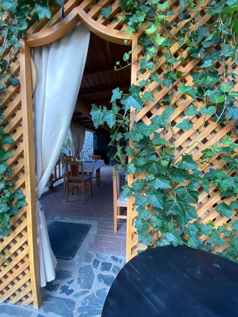 Appartement Casa Diana-Maria à Curtea de Argeş Extérieur photo