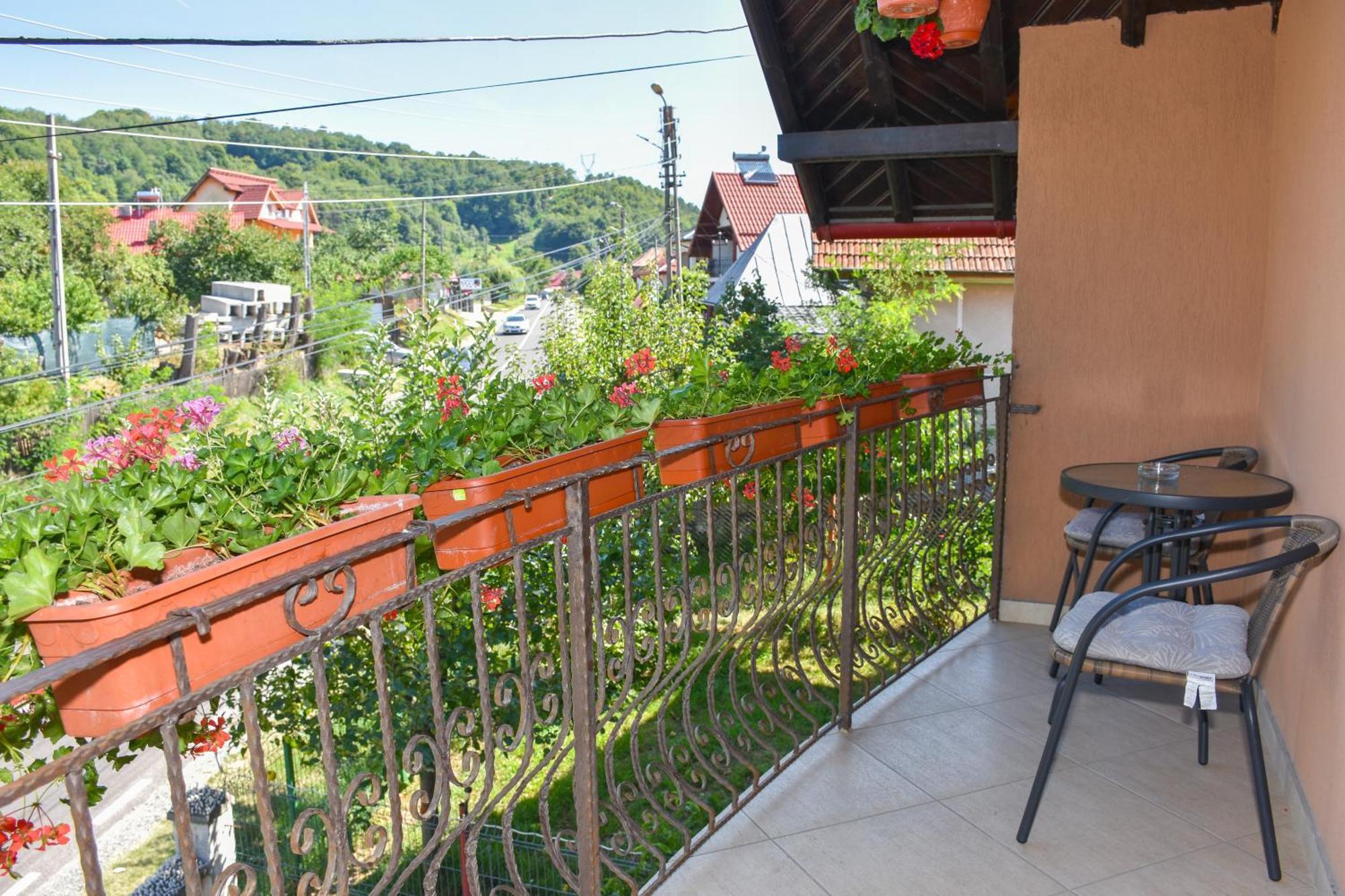Appartement Casa Diana-Maria à Curtea de Argeş Extérieur photo